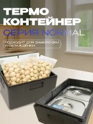 Термоконтейнер TERMOBOX Бытовой Normal, 46 л, 600х400х320 мм, 40кг/м3