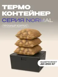Термоконтейнер TERMOBOX Бытовой Normal, 84 л, 800х600х320 мм, 40кг/м3